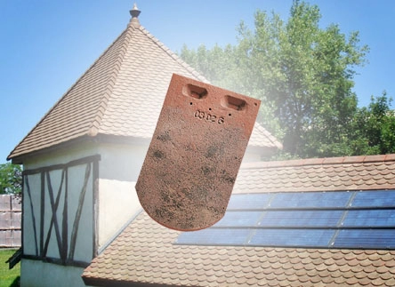 PLATE ÉCAILLE PRESSÉE 17×27