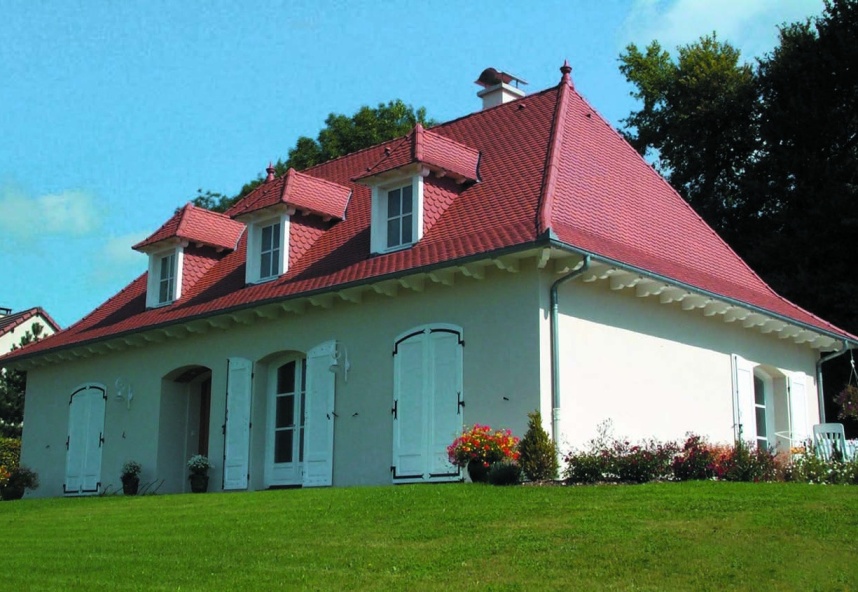 PLATE ÉCAILLE PRESSÉE 17×27