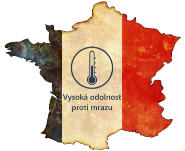 Obrazek k barvám - BEAUVOISE GRAPHITE