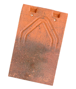 PLATE 17×27 PHALEMPIN